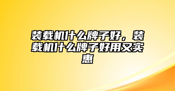 裝載機(jī)什么牌子好，裝載機(jī)什么牌子好用又實(shí)惠