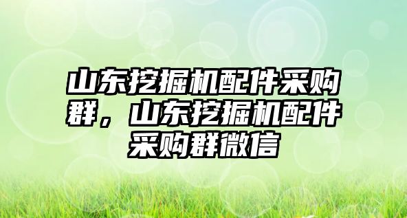 山東挖掘機(jī)配件采購群，山東挖掘機(jī)配件采購群微信