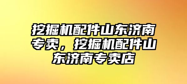 挖掘機配件山東濟南專賣，挖掘機配件山東濟南專賣店