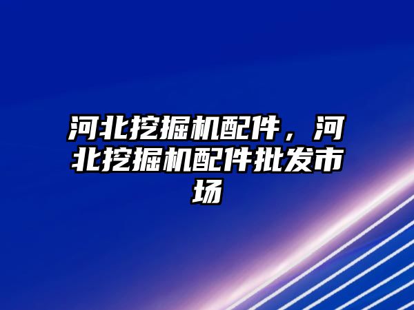 河北挖掘機(jī)配件，河北挖掘機(jī)配件批發(fā)市場(chǎng)