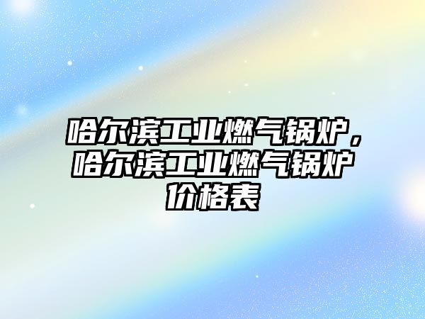 哈爾濱工業(yè)燃?xì)忮仩t，哈爾濱工業(yè)燃?xì)忮仩t價(jià)格表