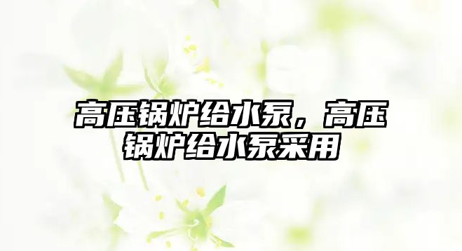 高壓鍋爐給水泵，高壓鍋爐給水泵采用