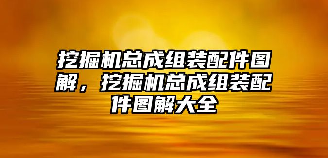 挖掘機(jī)總成組裝配件圖解，挖掘機(jī)總成組裝配件圖解大全