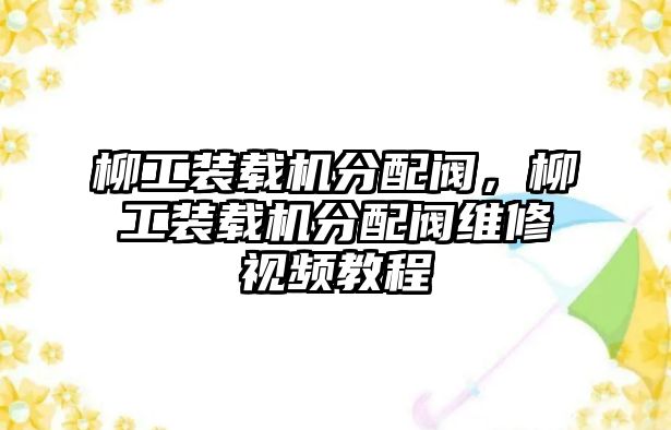 柳工裝載機分配閥，柳工裝載機分配閥維修視頻教程