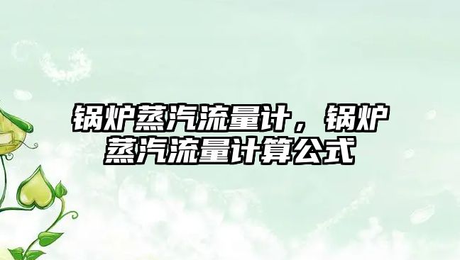 鍋爐蒸汽流量計(jì)，鍋爐蒸汽流量計(jì)算公式