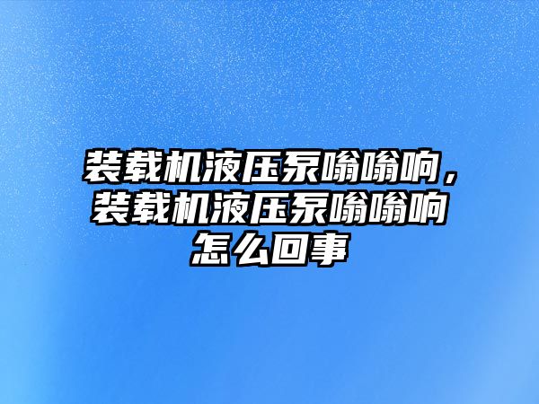 裝載機液壓泵嗡嗡響，裝載機液壓泵嗡嗡響怎么回事