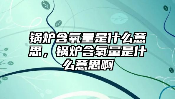 鍋爐含氧量是什么意思，鍋爐含氧量是什么意思啊