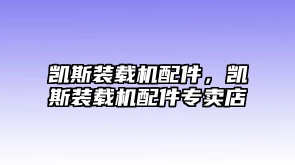 凱斯裝載機配件，凱斯裝載機配件專賣店