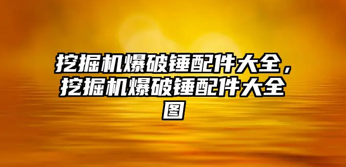 挖掘機爆破錘配件大全，挖掘機爆破錘配件大全圖