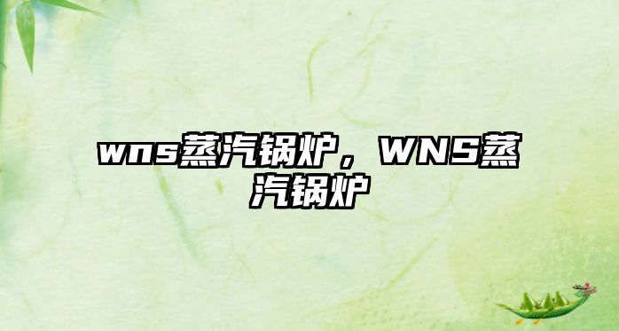 wns蒸汽鍋爐，WNS蒸汽鍋爐