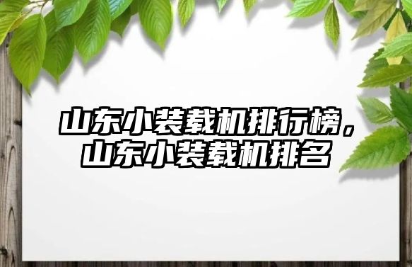 山東小裝載機排行榜，山東小裝載機排名