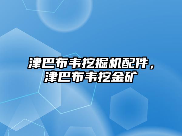 津巴布韋挖掘機(jī)配件，津巴布韋挖金礦