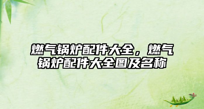 燃?xì)忮仩t配件大全，燃?xì)忮仩t配件大全圖及名稱