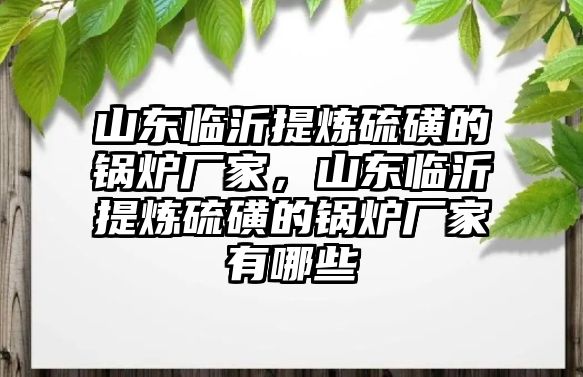 山東臨沂提煉硫磺的鍋爐廠家，山東臨沂提煉硫磺的鍋爐廠家有哪些