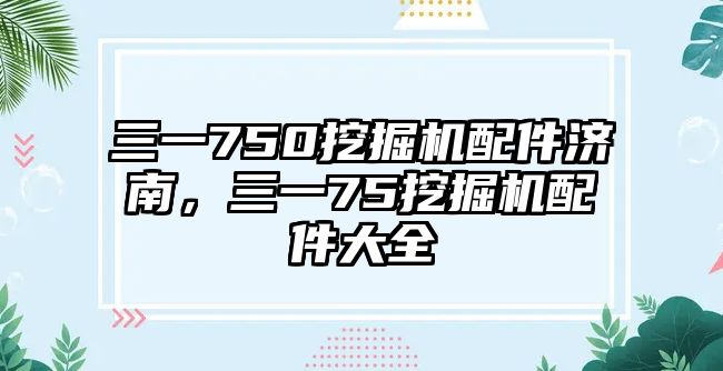 三一750挖掘機(jī)配件濟(jì)南，三一75挖掘機(jī)配件大全