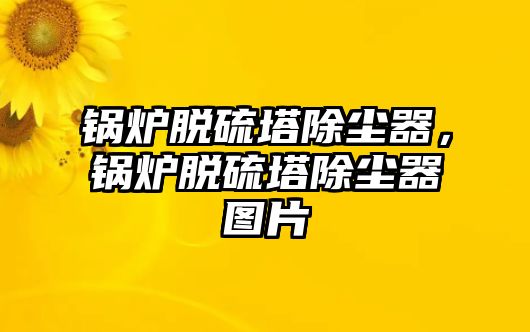 鍋爐脫硫塔除塵器，鍋爐脫硫塔除塵器圖片