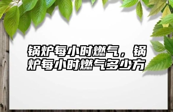 鍋爐每小時(shí)燃?xì)?，鍋爐每小時(shí)燃?xì)舛嗌俜?/>	
								</i>
								<p class=