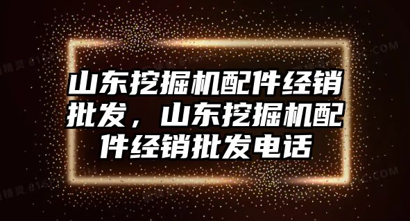 山東挖掘機配件經(jīng)銷批發(fā)，山東挖掘機配件經(jīng)銷批發(fā)電話