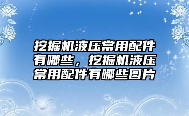 挖掘機液壓常用配件有哪些，挖掘機液壓常用配件有哪些圖片