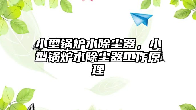 小型鍋爐水除塵器，小型鍋爐水除塵器工作原理