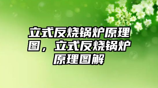 立式反燒鍋爐原理圖，立式反燒鍋爐原理圖解