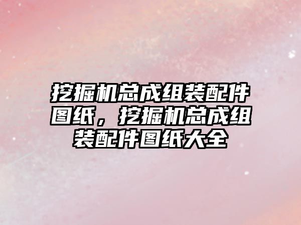 挖掘機總成組裝配件圖紙，挖掘機總成組裝配件圖紙大全