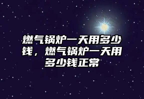 燃?xì)忮仩t一天用多少錢，燃?xì)忮仩t一天用多少錢正常