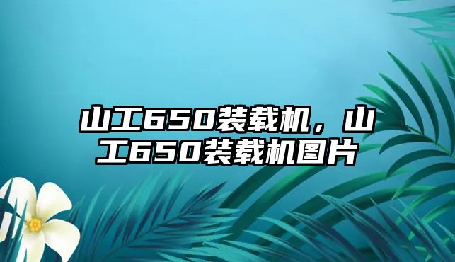 山工650裝載機，山工650裝載機圖片