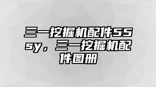 三一挖掘機配件55sy，三一挖掘機配件圖冊