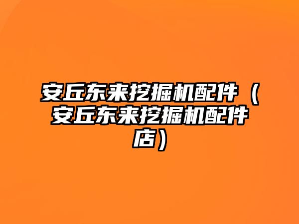 安丘東來挖掘機配件（安丘東來挖掘機配件店）