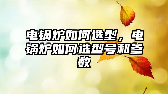 電鍋爐如何選型，電鍋爐如何選型號(hào)和參數(shù)