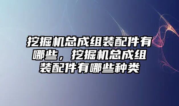 挖掘機(jī)總成組裝配件有哪些，挖掘機(jī)總成組裝配件有哪些種類