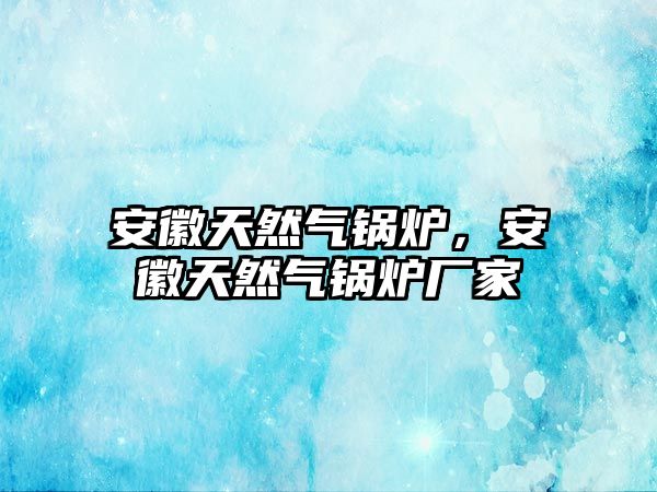 安徽天然氣鍋爐，安徽天然氣鍋爐廠家