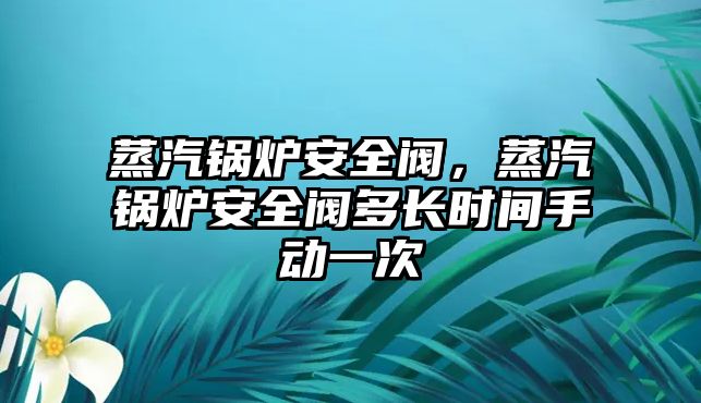 蒸汽鍋爐安全閥，蒸汽鍋爐安全閥多長(zhǎng)時(shí)間手動(dòng)一次