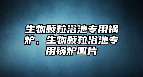 生物顆粒浴池專用鍋爐，生物顆粒浴池專用鍋爐圖片