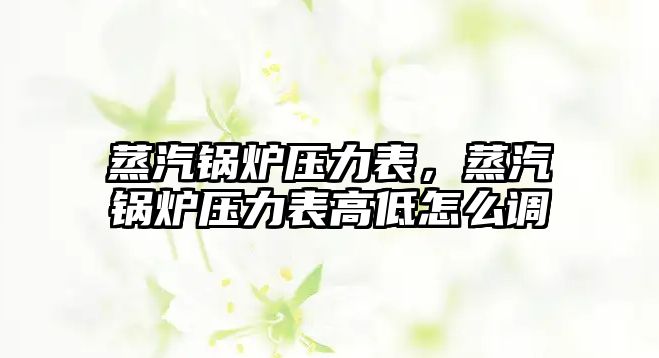 蒸汽鍋爐壓力表，蒸汽鍋爐壓力表高低怎么調(diào)