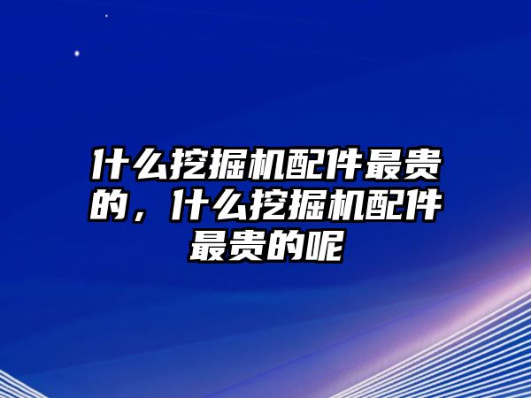 什么挖掘機(jī)配件最貴的，什么挖掘機(jī)配件最貴的呢