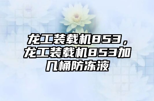 龍工裝載機(jī)853，龍工裝載機(jī)853加幾桶防凍液