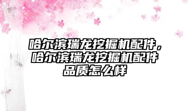 哈爾濱瑞龍挖掘機配件，哈爾濱瑞龍挖掘機配件品質怎么樣