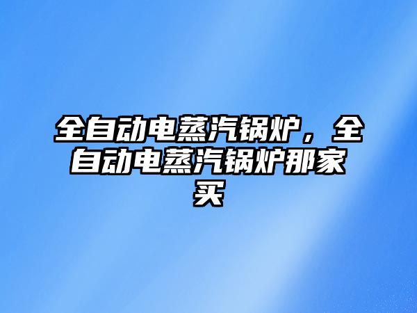 全自動電蒸汽鍋爐，全自動電蒸汽鍋爐那家買