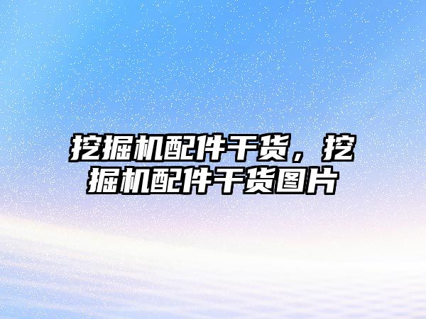 挖掘機配件干貨，挖掘機配件干貨圖片