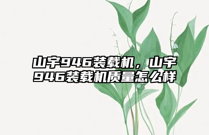 山宇946裝載機(jī)，山宇946裝載機(jī)質(zhì)量怎么樣