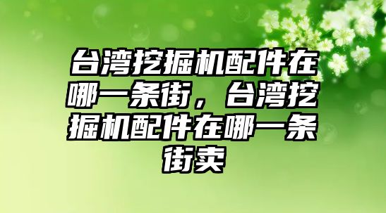 臺灣挖掘機配件在哪一條街，臺灣挖掘機配件在哪一條街賣