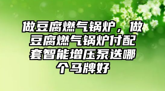 做豆腐燃氣鍋爐，做豆腐燃氣鍋爐付配套智能增壓泵迭哪個馬牌好