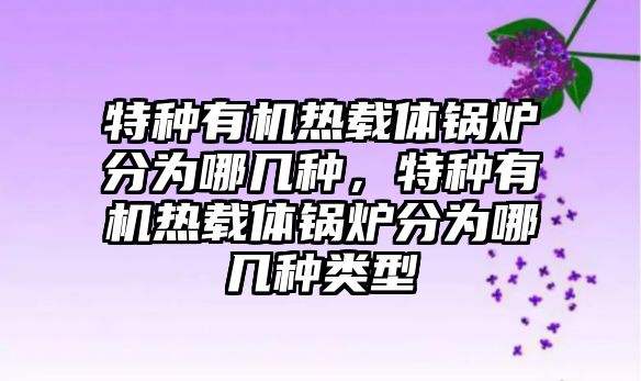 特種有機(jī)熱載體鍋爐分為哪幾種，特種有機(jī)熱載體鍋爐分為哪幾種類(lèi)型