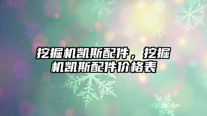 挖掘機(jī)凱斯配件，挖掘機(jī)凱斯配件價(jià)格表