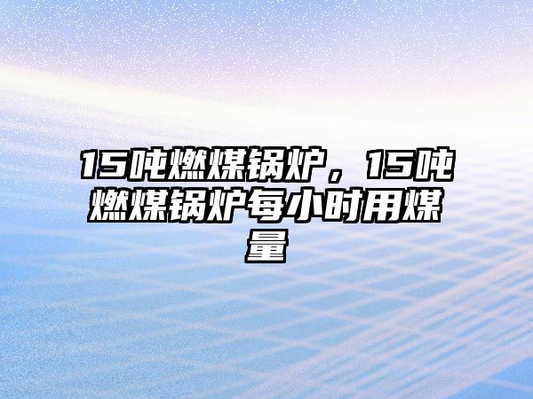 15噸燃煤鍋爐，15噸燃煤鍋爐每小時用煤量