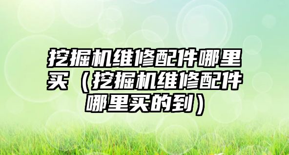 挖掘機(jī)維修配件哪里買（挖掘機(jī)維修配件哪里買的到）