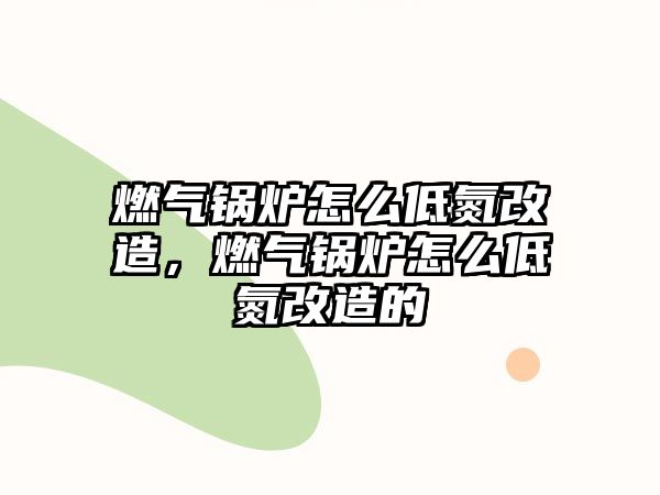 燃?xì)忮仩t怎么低氮改造，燃?xì)忮仩t怎么低氮改造的