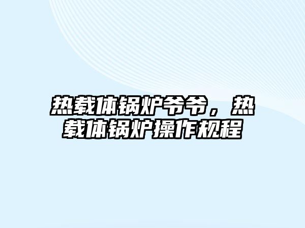 熱載體鍋爐爺爺，熱載體鍋爐操作規(guī)程